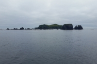 20150803_145322