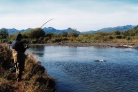 IMG021-fishing