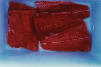 IMG_0006-fillets
